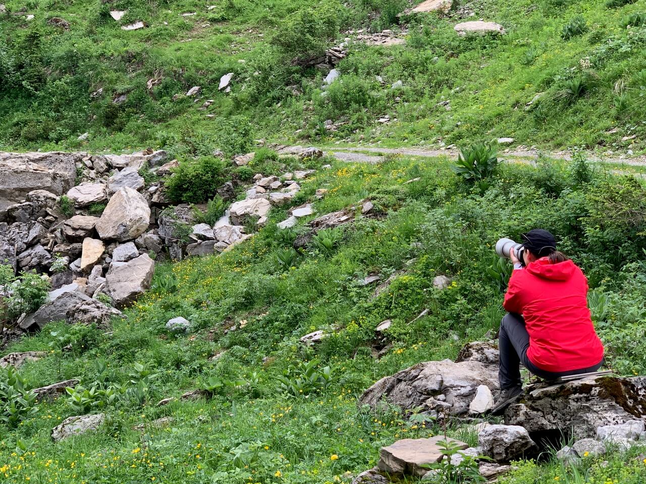 Photographing Marmottes at Tete de Linga