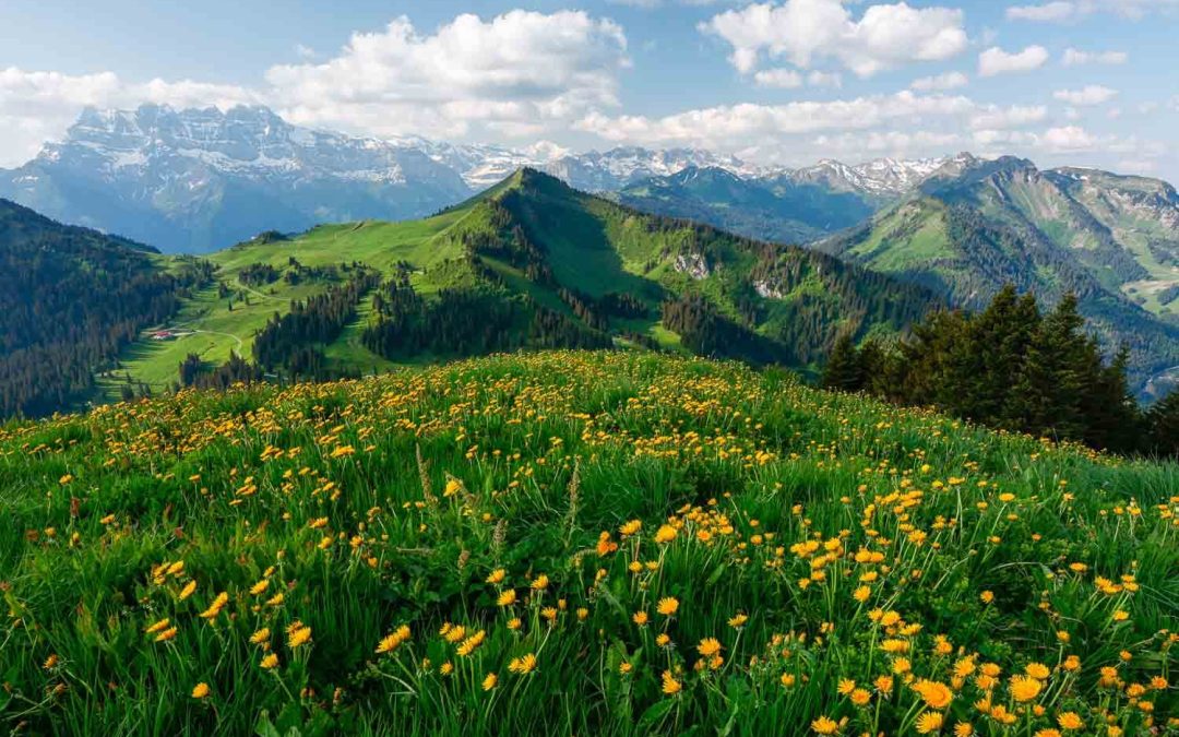 Portes du Soleil, France