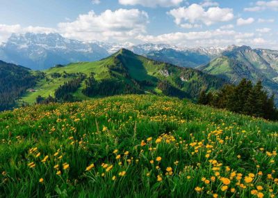 Portes du Soleil, France