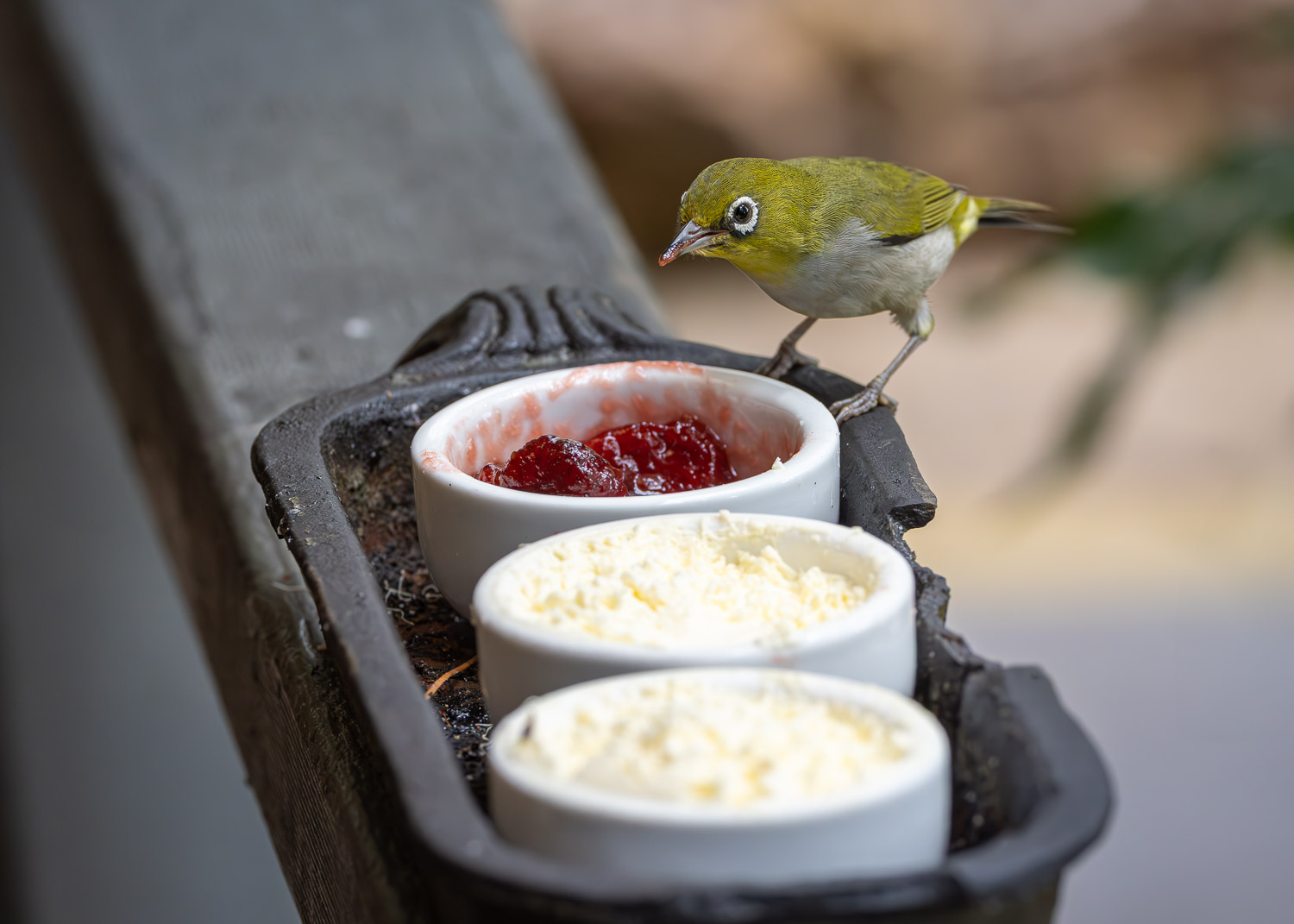 The Berry Farm, Margaret River, WA The Berry Farm, Margaret River, WA