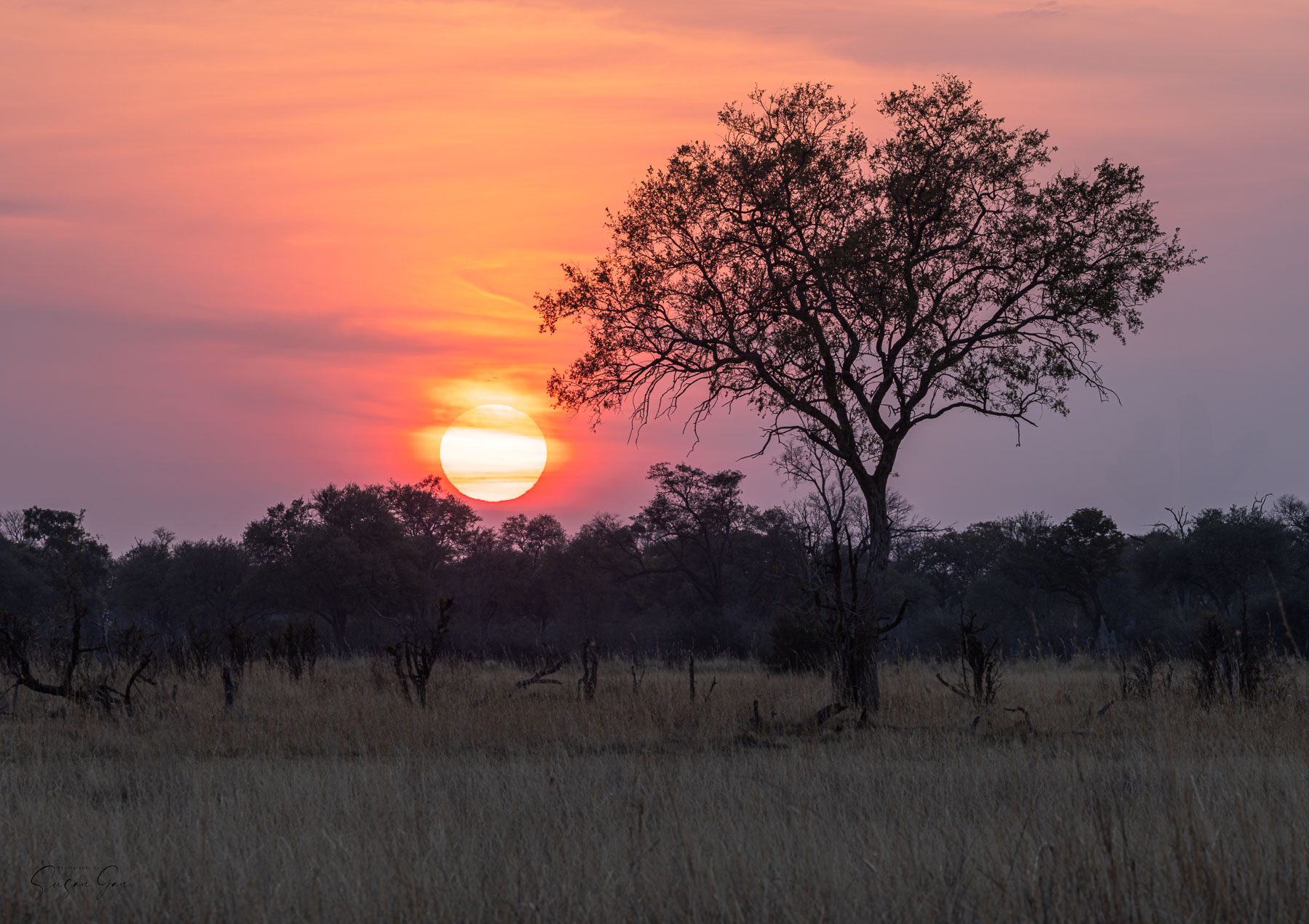 Sunset Botswana